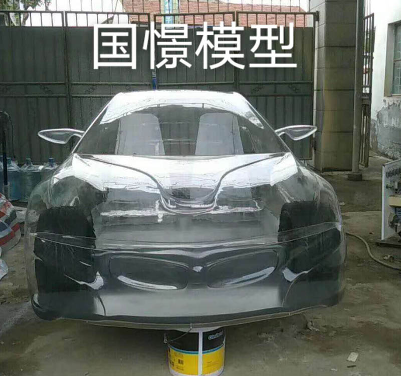 宁县透明车模型